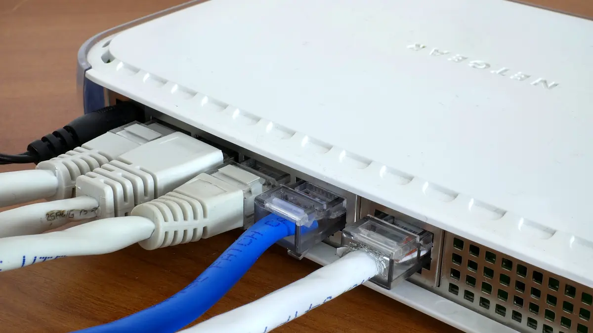 Network cables and router